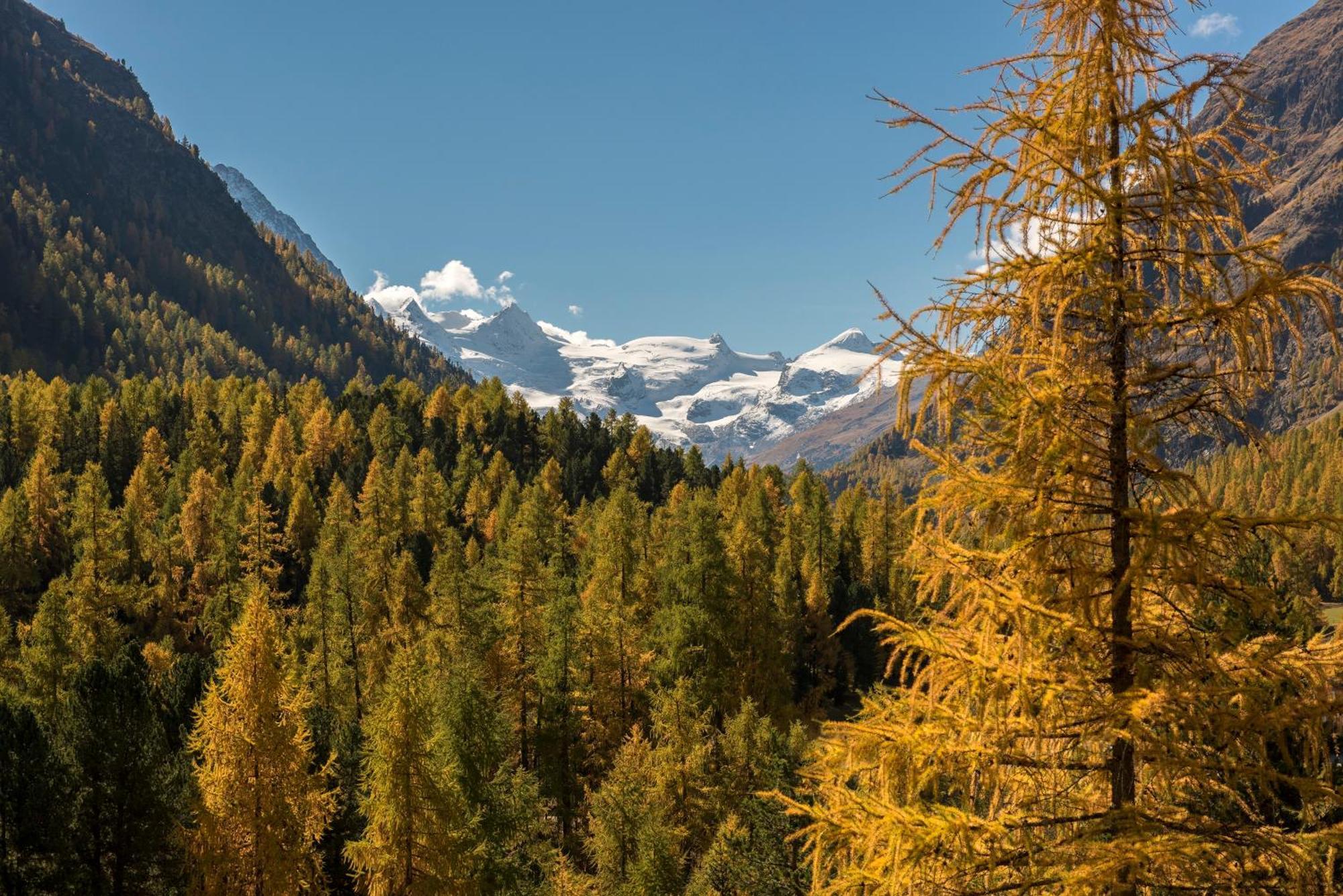 Hotel Saratz Pontresina Exteriör bild